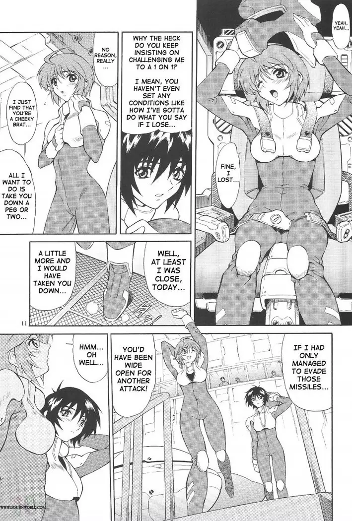 Gundam Seed Destiny - Burning