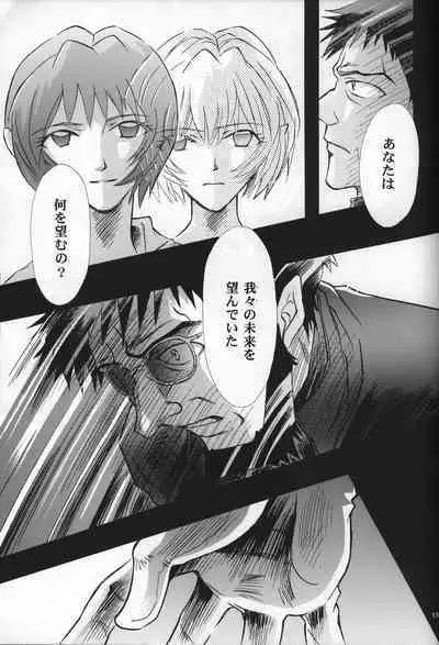 <Shinyaku> neon genesis document G