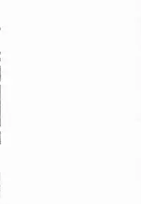 (C86) [Semimogura (Yoshiie)] Lilith -Inma ni natta Kishi-