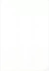 [IRIE YAMAZAKI] Princess File