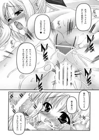 (C80) [chronicle (YUKITO)] FATE COLLECTION II (Mahou Shoujo Lyrical Nanoha)