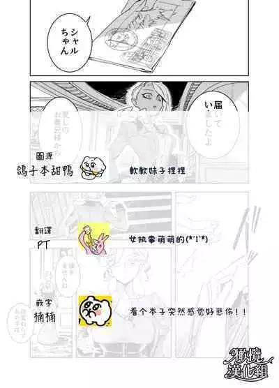 『 sinai naru sya-rotto he（ zenkouhen）』｜致亲爱的夏洛特