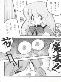 FLOWER VICTIM II EURI EDITION