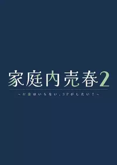 家庭内売春2 NICOLAI [Chinese] [透明声彩汉化组]