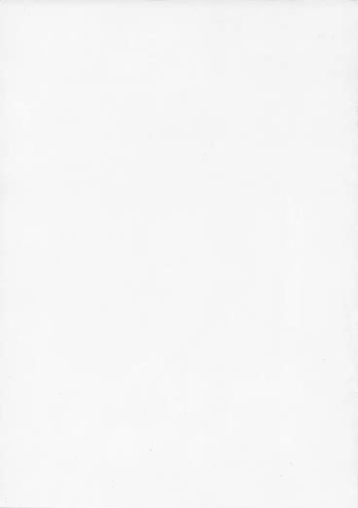 FATE MASOCHISTIC ORDER Hanayome Shugyou