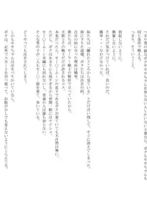 男の娘セーラー戦士W