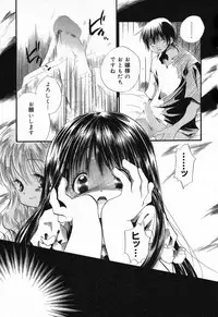 [Anthology] Pure Petit Vol. 21