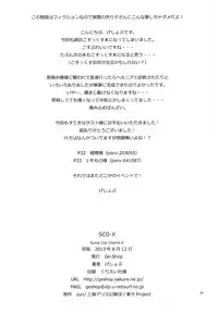 (C84) [GE-Shop (Geshop)] SCO-X (Touhou Project)