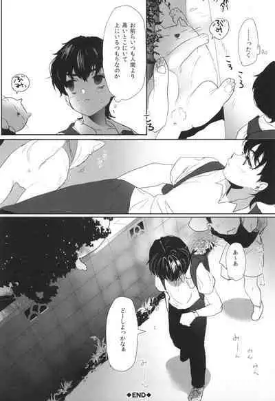 [Numata Chihiro] Shishunki Ibunroku - Numata Chihiro Kessaku-sen