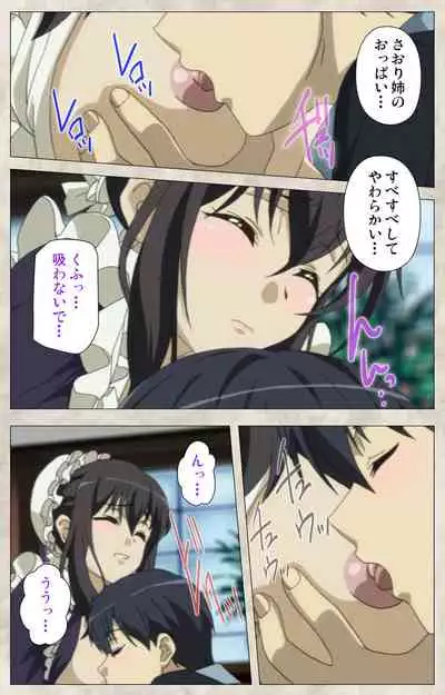 Ane Yome Quartet Kanzenban