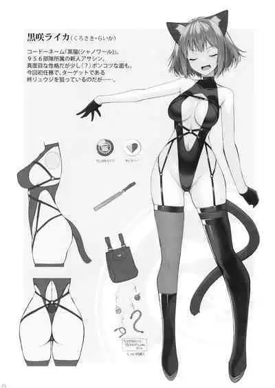 (C100) [Digital Flyer (Oota Yuuichi)] Kukkoro Butai no Assassin-san.