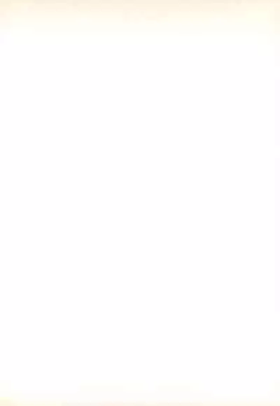 (C62) [Totocal LAND (Watase Hiroko)] FLOWER (Digimon Tamers)