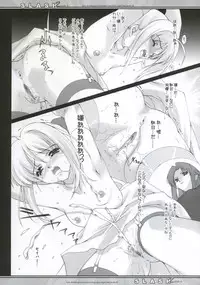 (Mimiket 10) [Renai Mangaka (Naruse Hirofumi)] SLASH 2 Side A (Fate/stay night)