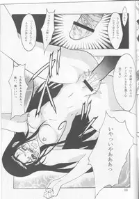 [FAKESTAR (Miharu)] Chaos Step 3 (Hellsing)