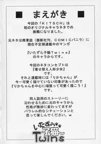 (CR36) [EKAKIGOYA NOTESYSTEM (Nanjou Asuka)] Twin's-KITSCH (Itazura Koneko Twins)