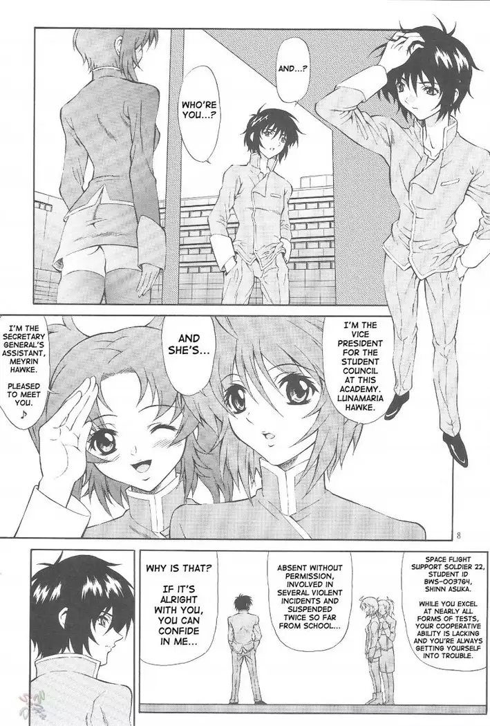 Gundam Seed Destiny - Burning