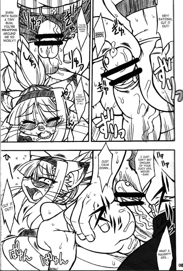 Midori's Neko Kano 2