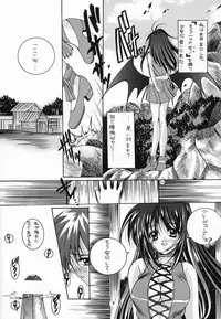 (C54) [JOKER TYPE(Nishimata Aoi)] Joker