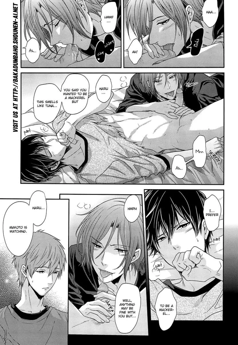 Please Forgive This Bad Dolphin