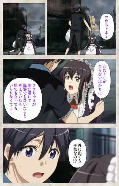 Ane Yome Quartet Kanzenban