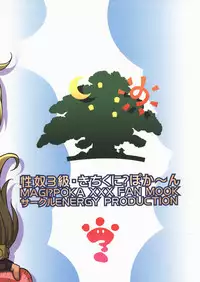 Magical Pokaan - Kitikuni