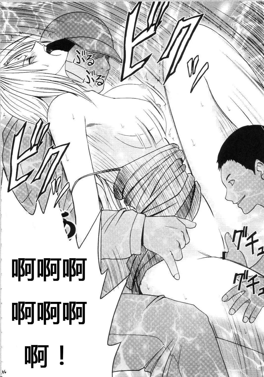 Sephiria Hard Soushuuhen