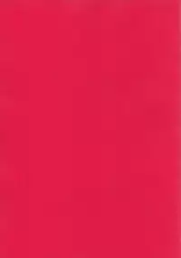 [Kotori Jimusho (Sakura Bunchou)] Purpurrot (Neon Genesis Evangelion)