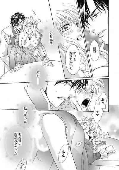 [Omi Shinano] Imouto Mekake ~Onii-sama, Mou Yurushite~ 3 [Digital]