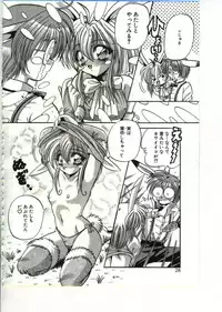 [Appleton] Fairy Paradise