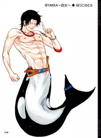 [Hariko no Tora (Midoh Torako)] BYAKKA (One Piece) [Digital]