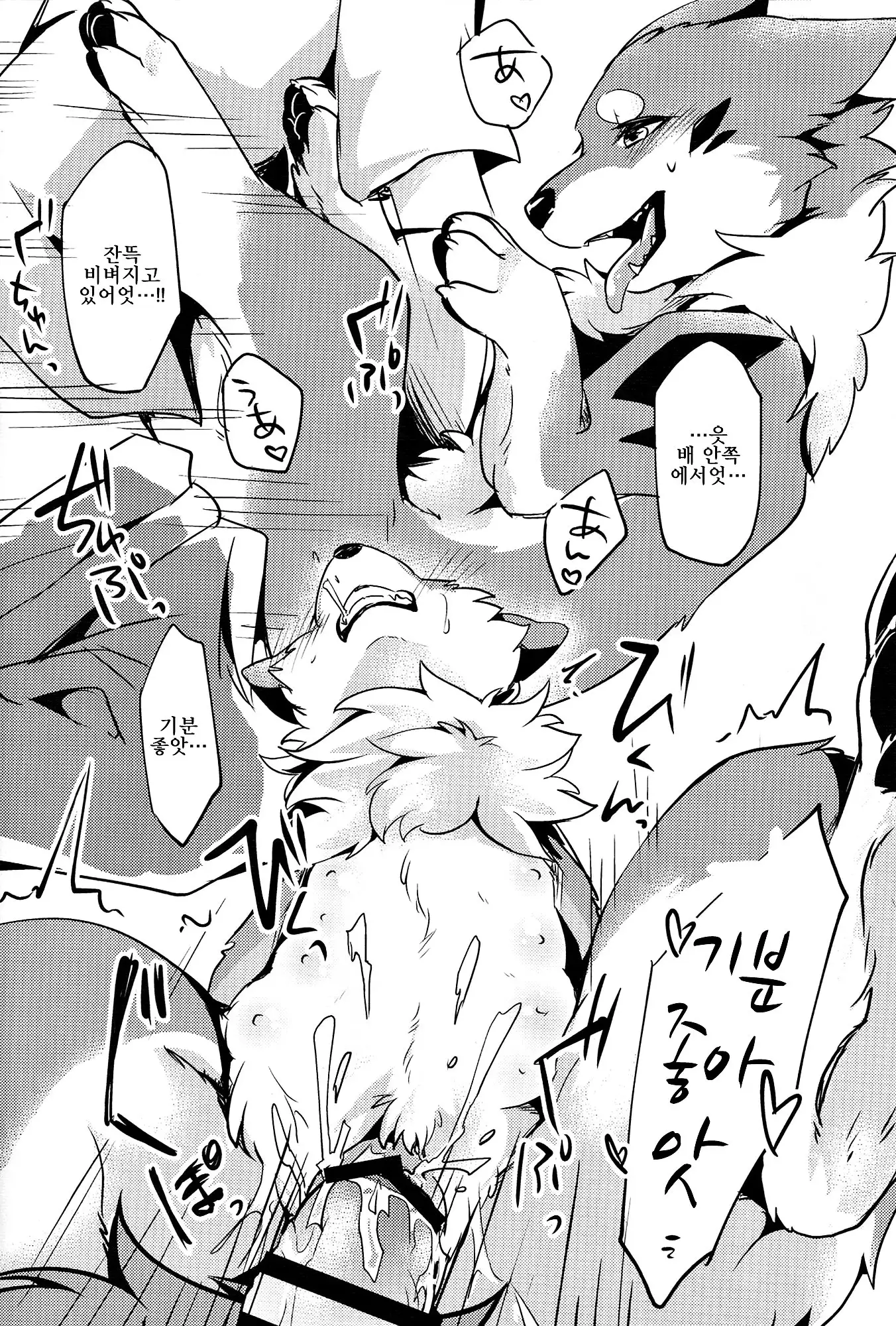 Kitsuneinu to Asobo!! | 여우개 랑 놀자앗!!