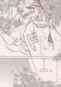 [20 Liquid] Pretty CureCure And Gochamaze Works {Pretty Cure}