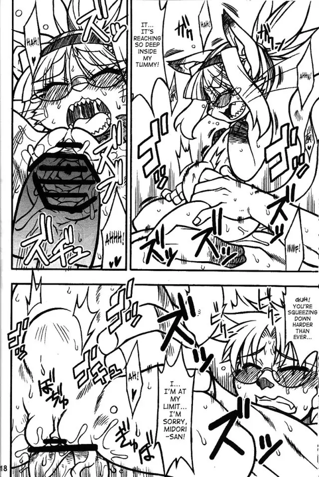 Midori's Neko Kano 2