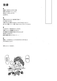 (Reitaisai 11) [Wasre Kaban (Nametake)] HEAVEN and HELL (Touhou Project) [English]