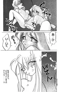 High School Hakusho (Sailor Moon anthology)