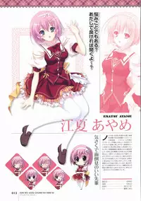 Kimi wo Aogi Otome wa Hime ni Visual Fan Book