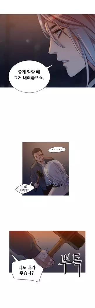 Scandal of the Witch Ch.0-33