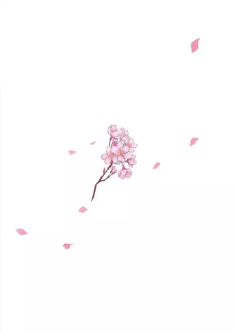 Irui Konintan Gaiden