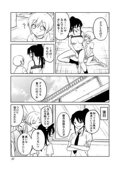 Aho Baka Youhan Mesu Gorilla