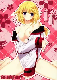 (COMIC1☆5) [HEART WORK (Suzuhira Hiro)] if (IS <Infinite Stratos>)