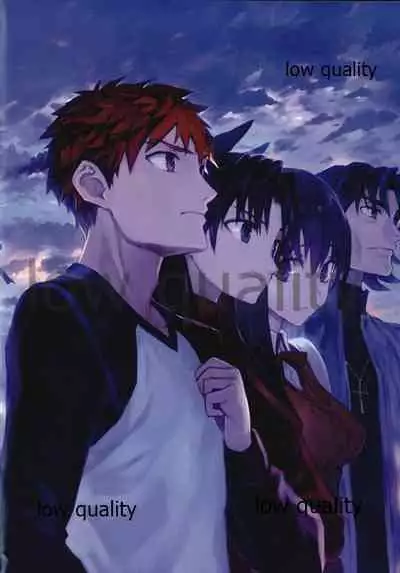 Fate/stay night Illust Shuu "Usuyami"