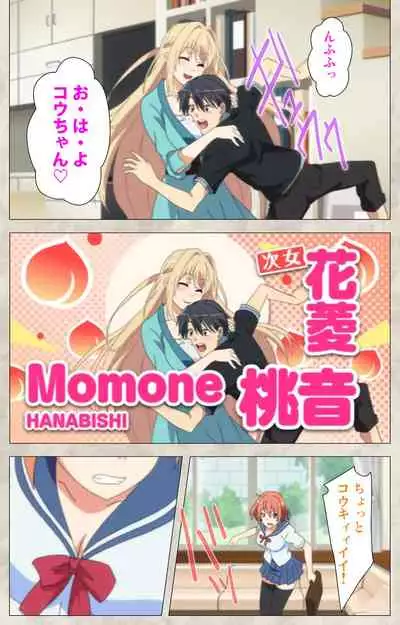 Ane Yome Quartet Kanzenban