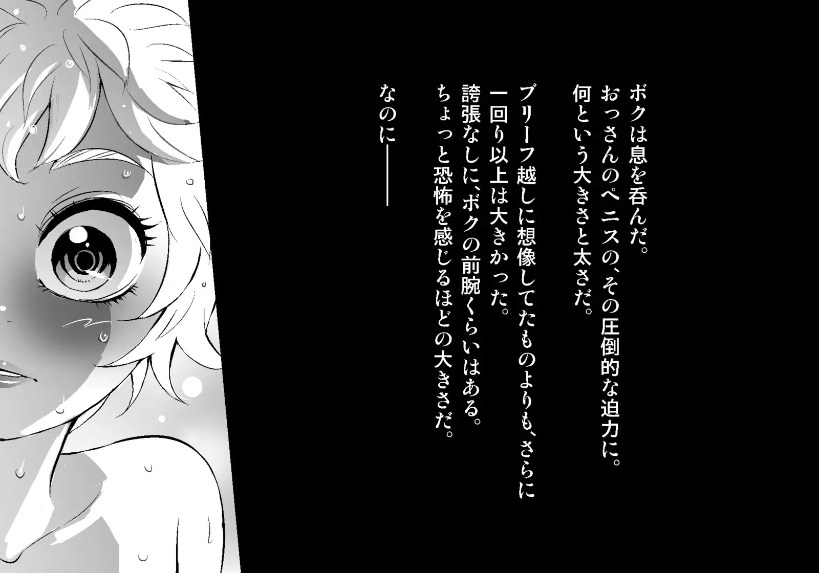 フェアリーセティ