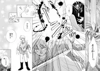 [Nagareboshi Hikaru] Tokubetsu na Hi