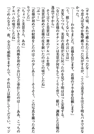 年上メイドの新婚日記