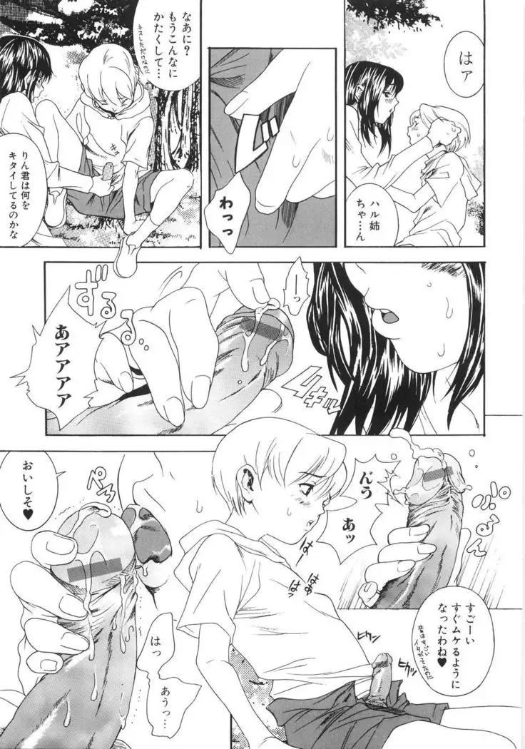 You Katsuragi - Honki Shiru