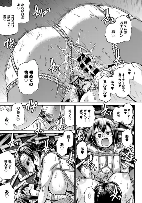 COMIC Anthurium 2017-08