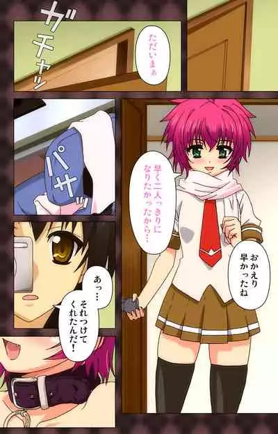 My Imouto Koakuma na A-Cup complete ban