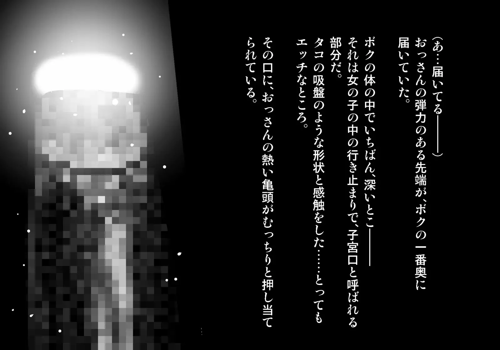 フェアリーセティ