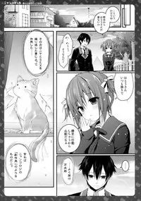 (COMIC1☆11) [KINOKONOMI (konomi)] Nyancology 6 -Nureta Nekoda-san no Himitsu-